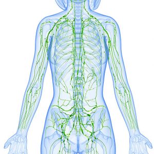 Lymphatic drainage massage | Yatan Holistic Ayurvedic Centre